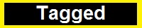  Tagged  